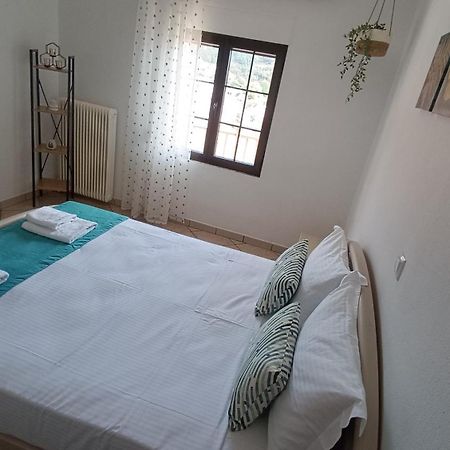 Ioanna'S Apartment Potamia  Dış mekan fotoğraf